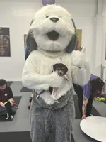 Brown Collar Bea, a male Beagle for sale in Le Roy, NY – Photo 2 of 2