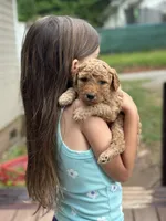 processed/e365be43-4414-4a7d-8b09-03eea69fe2d6/facility/4b816423-cc93-4d69-9c6d-157474b6f49d