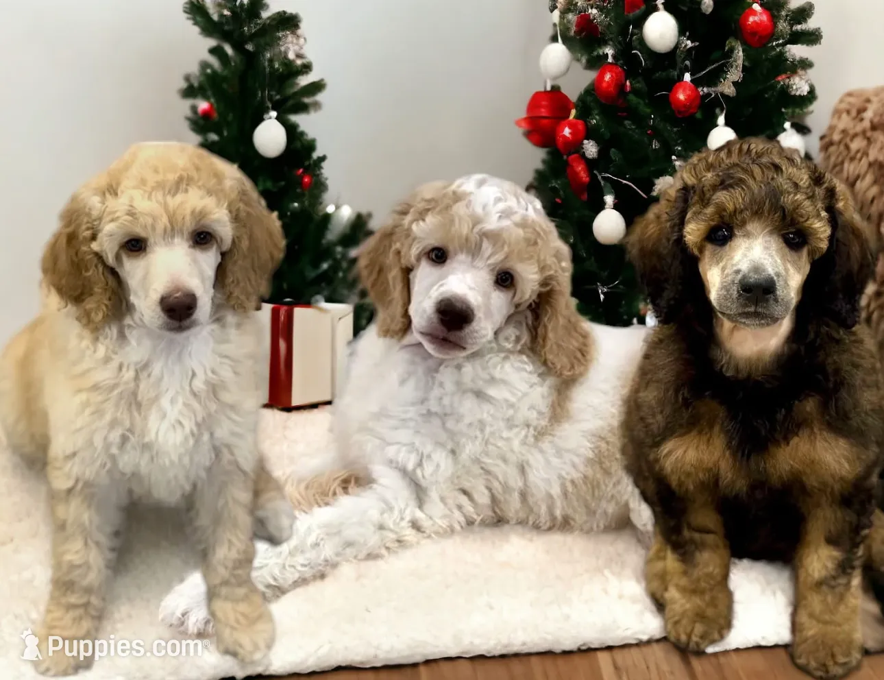 processed/e365be43-4414-4a7d-8b09-03eea69fe2d6/facility/4fd8b4ab-e11e-4781-bf81-520aff3eb26f