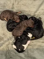 processed/e365be43-4414-4a7d-8b09-03eea69fe2d6/facility/5300a71e-76d5-465a-bdbc-fd1868ecd309