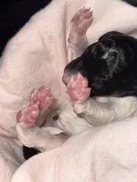 processed/e365be43-4414-4a7d-8b09-03eea69fe2d6/facility/870b0b50-06cb-4dcc-b1d2-5155abf6f8d7