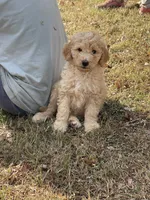 processed/e365be43-4414-4a7d-8b09-03eea69fe2d6/facility/c3da4e13-c17a-4cc2-b5d4-55eb3179be5c