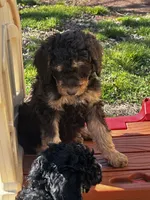 processed/e365be43-4414-4a7d-8b09-03eea69fe2d6/listing/3ca4cfee-33a9-48f0-8271-34011a6f9306/0d615307-2572-4357-ac85-156bfeddc0cf