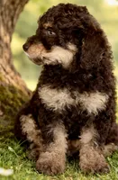 processed/e365be43-4414-4a7d-8b09-03eea69fe2d6/listing/3ca4cfee-33a9-48f0-8271-34011a6f9306/3013416d-55fb-48ce-b8a8-2a904d9bc91b