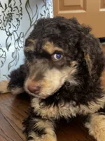 processed/e365be43-4414-4a7d-8b09-03eea69fe2d6/listing/3ca4cfee-33a9-48f0-8271-34011a6f9306/f2984c49-6092-44d2-b13b-693a65772508