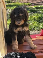 processed/e365be43-4414-4a7d-8b09-03eea69fe2d6/listing/3ca4cfee-33a9-48f0-8271-34011a6f9306/f573446a-917f-46fc-a839-f39bb6837759