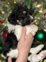 processed/e365be43-4414-4a7d-8b09-03eea69fe2d6/listing/651f624a-55d1-4682-9eac-f217bededc72/0e18c1d4-5250-4d4d-a781-b01501e99294