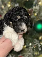 processed/e365be43-4414-4a7d-8b09-03eea69fe2d6/listing/651f624a-55d1-4682-9eac-f217bededc72/322e96b9-2640-4589-b5c7-c2f6fe0fa9ba