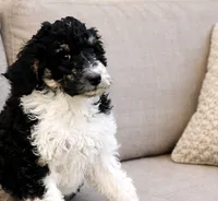 processed/e365be43-4414-4a7d-8b09-03eea69fe2d6/listing/651f624a-55d1-4682-9eac-f217bededc72/634b89e0-f729-4869-92cb-e80b55ee571c