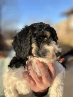 processed/e365be43-4414-4a7d-8b09-03eea69fe2d6/listing/651f624a-55d1-4682-9eac-f217bededc72/c4f5509f-8c61-48db-85b8-2c6be8f059b3