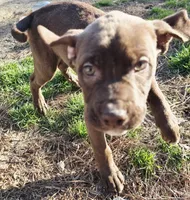 processed/e36ee92c-bf39-4ea8-89bc-1bfb7b070e9a/listing/33c64ebd-0be4-4af7-a231-32c78ebd66ea/20f68455-4f91-4c19-80d8-a87d6d7ab1fc