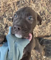 processed/e36ee92c-bf39-4ea8-89bc-1bfb7b070e9a/listing/33c64ebd-0be4-4af7-a231-32c78ebd66ea/cefd1f71-e5b6-49bd-9dfb-a39bef8f567d