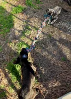 processed/e36ee92c-bf39-4ea8-89bc-1bfb7b070e9a/listing/768bc24a-4752-403b-a544-ddb586528fa7/b49975c6-cc27-458e-ad78-0ce58fe23237