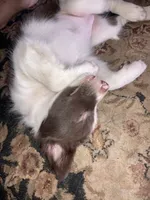 processed/e374e96f-7fd4-429d-bce0-b39d215a6bad/listing/df40eb75-7a12-43e3-9e30-d43fcfee0e30/0253d47b-725f-4f24-9ed3-7195d4b04c0b