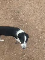 processed/e374e96f-7fd4-429d-bce0-b39d215a6bad/listing/df40eb75-7a12-43e3-9e30-d43fcfee0e30/2e3353ea-5114-4fb6-9528-a9d1dc250e29