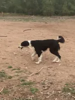 processed/e374e96f-7fd4-429d-bce0-b39d215a6bad/listing/df40eb75-7a12-43e3-9e30-d43fcfee0e30/31a80fa3-b94c-406c-933f-51011606502c