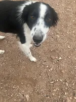 processed/e374e96f-7fd4-429d-bce0-b39d215a6bad/listing/df40eb75-7a12-43e3-9e30-d43fcfee0e30/62ee2413-08b9-4d19-9618-469f4c967bd2