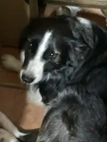 processed/e374e96f-7fd4-429d-bce0-b39d215a6bad/listing/df40eb75-7a12-43e3-9e30-d43fcfee0e30/80b34e1d-6d3f-428b-a8ea-6d3f0ae6f92e