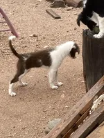 processed/e374e96f-7fd4-429d-bce0-b39d215a6bad/listing/df40eb75-7a12-43e3-9e30-d43fcfee0e30/8eb7cfe9-dd4c-4cb7-bd09-412140e67a86