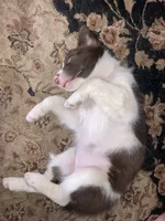 processed/e374e96f-7fd4-429d-bce0-b39d215a6bad/listing/df40eb75-7a12-43e3-9e30-d43fcfee0e30/b9fc216b-7a64-4122-80f6-e275fece6a74