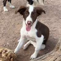 processed/e374e96f-7fd4-429d-bce0-b39d215a6bad/listing/df40eb75-7a12-43e3-9e30-d43fcfee0e30/da2655be-fd69-40e4-a9d2-c4ca8b44666f