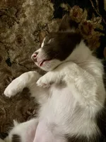 processed/e374e96f-7fd4-429d-bce0-b39d215a6bad/listing/df40eb75-7a12-43e3-9e30-d43fcfee0e30/fa77f58a-600e-4366-a625-e57a9faabdac