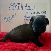 processed/e37a0abf-d59e-4e32-aaeb-e3ce1f2dd77f/listing/12575c8b-6ed2-49e5-abe3-45617f7ba4a5/074c2120-ad17-4f2e-b03d-d7d998c8c4a1