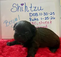 processed/e37a0abf-d59e-4e32-aaeb-e3ce1f2dd77f/listing/12575c8b-6ed2-49e5-abe3-45617f7ba4a5/9ff32ab5-16e3-4e56-9a99-42248be246fe