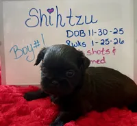 processed/e37a0abf-d59e-4e32-aaeb-e3ce1f2dd77f/listing/12575c8b-6ed2-49e5-abe3-45617f7ba4a5/d594445e-d493-4497-b3cc-964ca87c1bc4