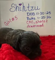 processed/e37a0abf-d59e-4e32-aaeb-e3ce1f2dd77f/listing/30702b74-c268-4b4c-881a-12ea78326f9b/213f2b86-ce3a-4f8e-892d-1db36c973e8c