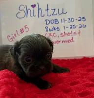 processed/e37a0abf-d59e-4e32-aaeb-e3ce1f2dd77f/listing/30702b74-c268-4b4c-881a-12ea78326f9b/8b220439-5799-4073-ab48-407e586fb508