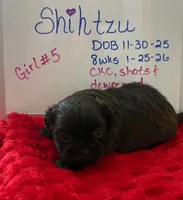 processed/e37a0abf-d59e-4e32-aaeb-e3ce1f2dd77f/listing/30702b74-c268-4b4c-881a-12ea78326f9b/962a5090-4fdd-452b-84da-dbb48133bcbc