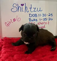 processed/e37a0abf-d59e-4e32-aaeb-e3ce1f2dd77f/listing/5df1f55a-8020-48c7-a0f5-ec1db7917334/99f720da-2de1-4ef4-8c66-1ee92bc8a5d2