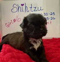 processed/e37a0abf-d59e-4e32-aaeb-e3ce1f2dd77f/listing/5df1f55a-8020-48c7-a0f5-ec1db7917334/b8368c13-5f57-4955-8e92-27c679be2907