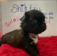 processed/e37a0abf-d59e-4e32-aaeb-e3ce1f2dd77f/listing/5df1f55a-8020-48c7-a0f5-ec1db7917334/db5491b1-3ff7-4062-ae8c-0131a06ed5b2