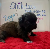 processed/e37a0abf-d59e-4e32-aaeb-e3ce1f2dd77f/listing/7fd754cc-1a17-41a0-864e-24fadbabeea0/310fe7bd-6c45-4f6d-b39c-b2ad5a09dab6