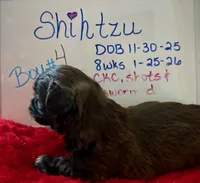 processed/e37a0abf-d59e-4e32-aaeb-e3ce1f2dd77f/listing/7fd754cc-1a17-41a0-864e-24fadbabeea0/53addba6-f258-4c4c-9098-ca157fd2e2ae