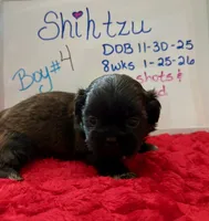 processed/e37a0abf-d59e-4e32-aaeb-e3ce1f2dd77f/listing/7fd754cc-1a17-41a0-864e-24fadbabeea0/5d9adcb7-4a40-4d41-b6cd-eb7d79d92169