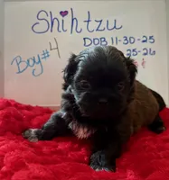 processed/e37a0abf-d59e-4e32-aaeb-e3ce1f2dd77f/listing/7fd754cc-1a17-41a0-864e-24fadbabeea0/94b22238-40f1-477a-b5e8-b9ae1aca1413