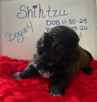 processed/e37a0abf-d59e-4e32-aaeb-e3ce1f2dd77f/listing/7fd754cc-1a17-41a0-864e-24fadbabeea0/a6ff8ed4-cea6-4cb9-91d9-2de2955e174d