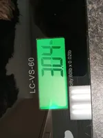 JoAnn, a female Yorkshire Terrier for sale in Anderson, SC – Photo 7 of 10