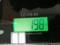 Lynda, a female Yorkshire Terrier for sale in Anderson, SC – Photo 7 of 10