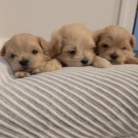 processed/e38c8b72-0717-4954-95e4-54983cbd4ab9/facility/15c457cc-a521-446b-8435-0d416fc2b589