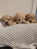 processed/e38c8b72-0717-4954-95e4-54983cbd4ab9/facility/15c457cc-a521-446b-8435-0d416fc2b589