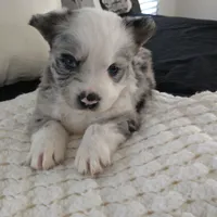 processed/e38c8b72-0717-4954-95e4-54983cbd4ab9/facility/2894604d-2c7b-4360-a091-a00ffb65afa4