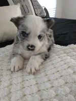 processed/e38c8b72-0717-4954-95e4-54983cbd4ab9/facility/2894604d-2c7b-4360-a091-a00ffb65afa4