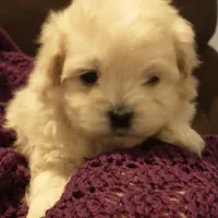 processed/e38c8b72-0717-4954-95e4-54983cbd4ab9/facility/41e45121-ee3c-4ffa-9151-b19c2c961e1e