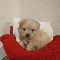 processed/e38c8b72-0717-4954-95e4-54983cbd4ab9/facility/5325ac82-51ac-4177-8231-2725ec3fb2eb