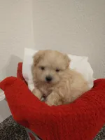 processed/e38c8b72-0717-4954-95e4-54983cbd4ab9/facility/5325ac82-51ac-4177-8231-2725ec3fb2eb