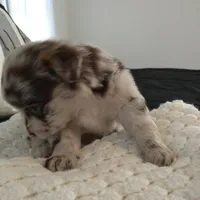 processed/e38c8b72-0717-4954-95e4-54983cbd4ab9/facility/f612ff36-427d-4365-b9a2-51aaaa995616